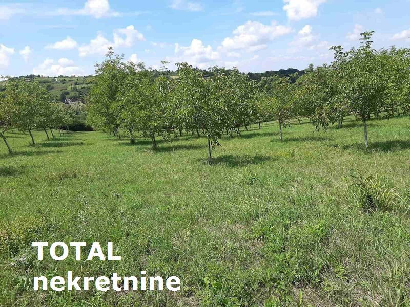 Plac,LEDINCI,NOVI LEDINCI,kv: 9928.00, € 409000, ID: 7089508 5