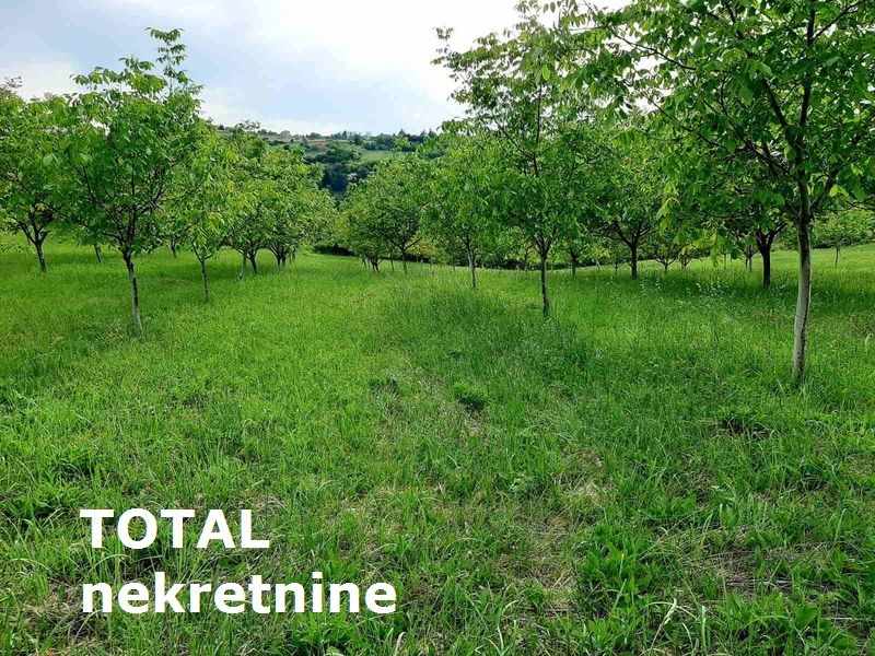 Plac,LEDINCI,NOVI LEDINCI,kv: 9928.00, € 409000, ID: 7089508 7