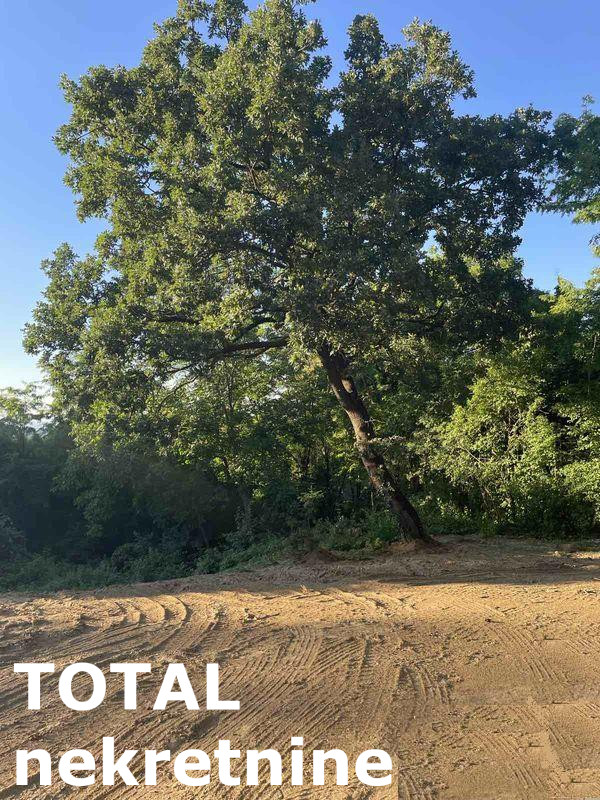 Plac,SREMSKA KAMENICA,POPOVICA,kv: 1121.00, € 129000, ID: 7089731 3