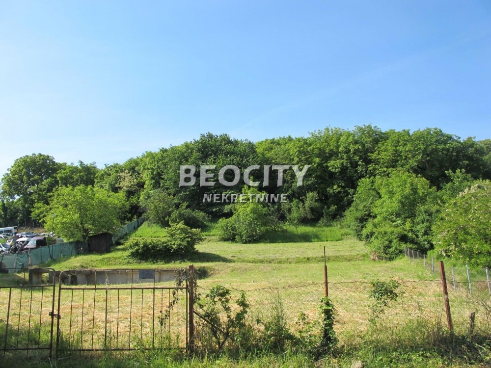 Plac, Mirijevo, Pirandelova ID: 121421 1