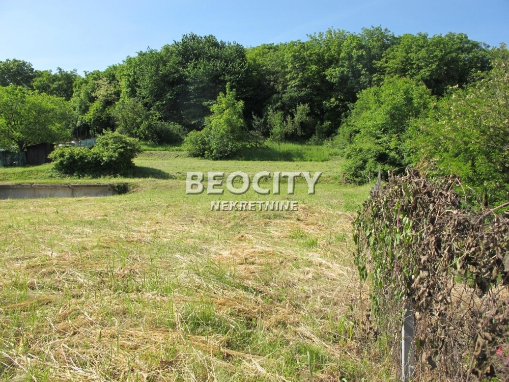 Plac, Mirijevo, Pirandelova ID: 121421 3