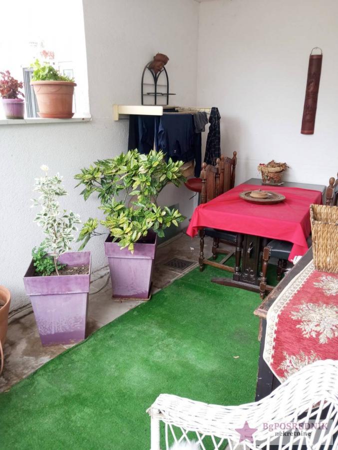 Vračar, Čubura, Sazonova, 61m2+14m2 13