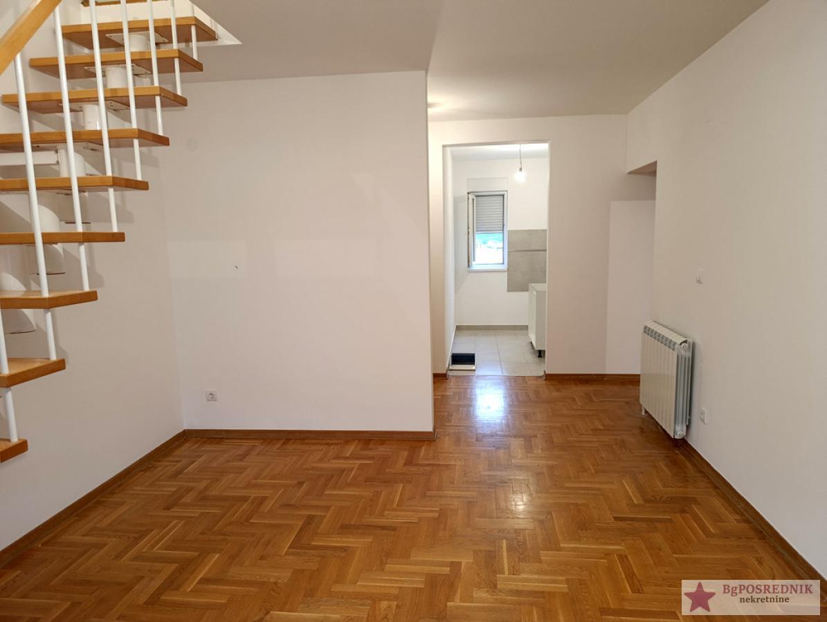 Zvezdara, Zvezdarska šuma-Ćalije, Radmile Savićević, 100m2 2