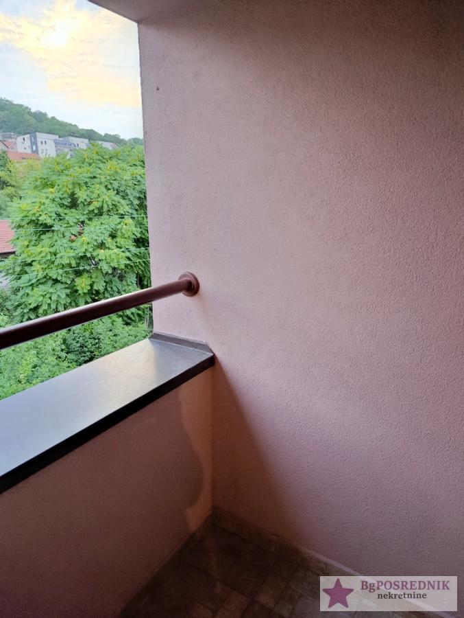 Zvezdara, Zvezdarska šuma-Ćalije, Radmile Savićević, 100m2 7