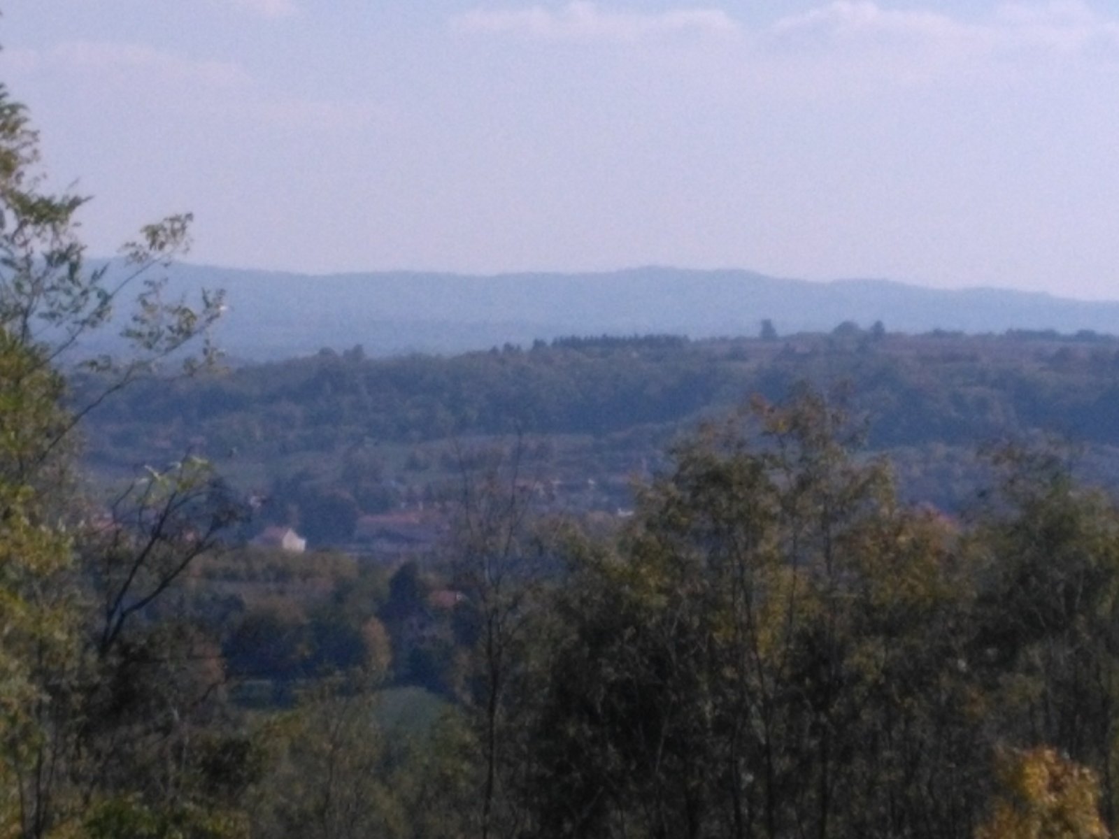 Na prodaju plac  suma  u Sopotu 2