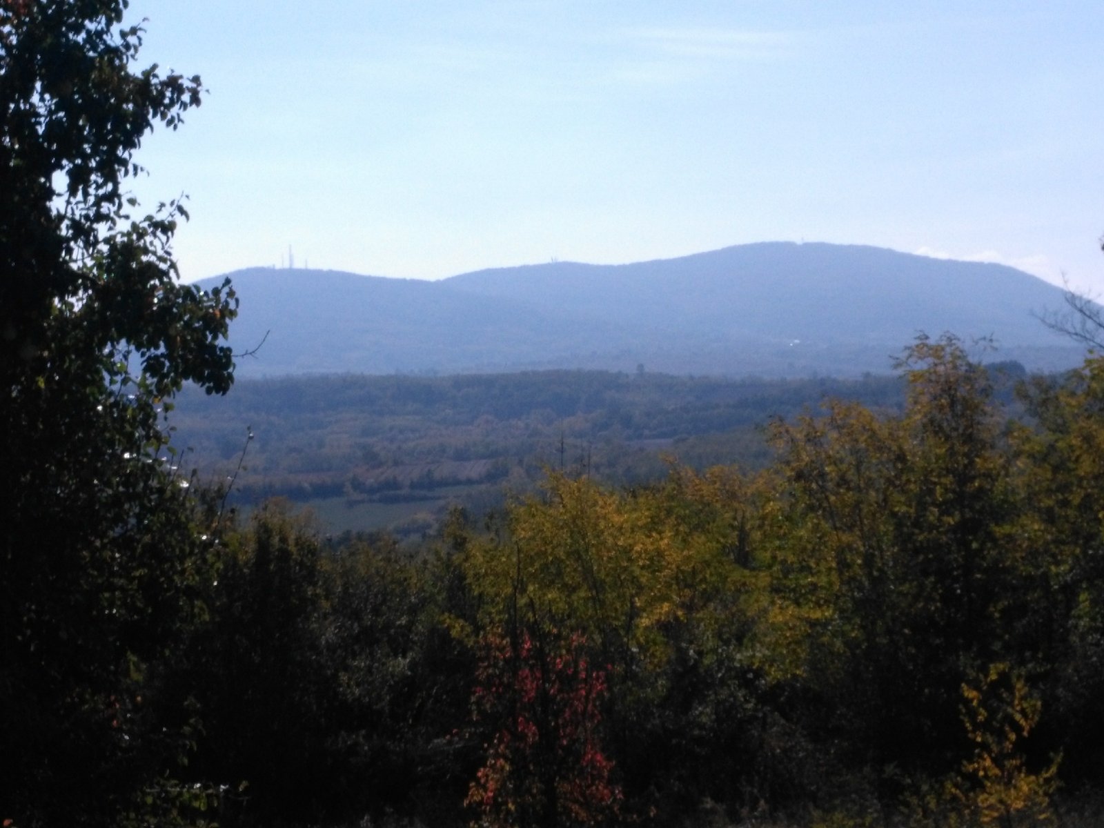 Na prodaju plac  suma  u Sopotu 3