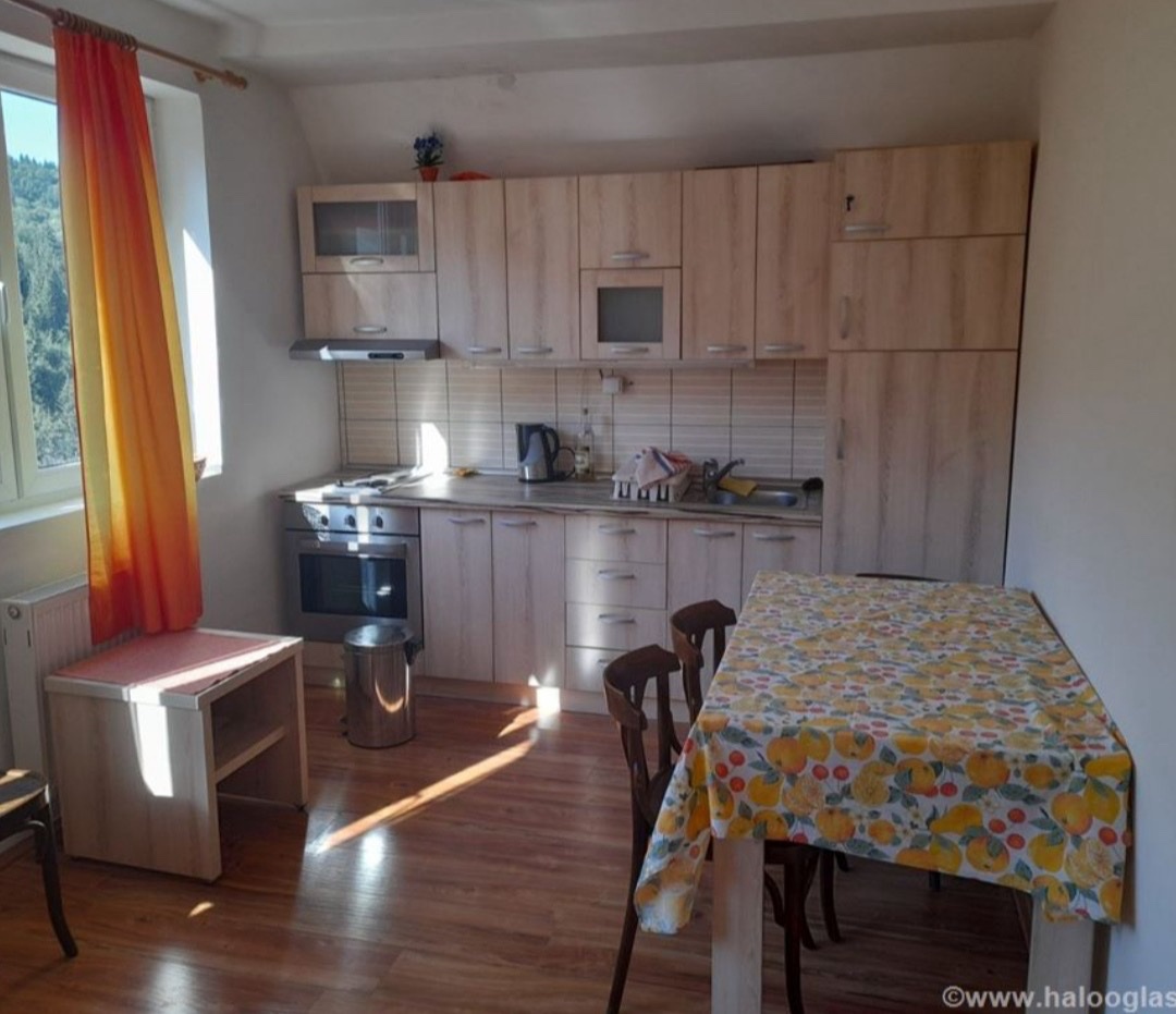 Prodajem apartman na Kopaoniku mirno mesto divan pogled dobra investicija 3