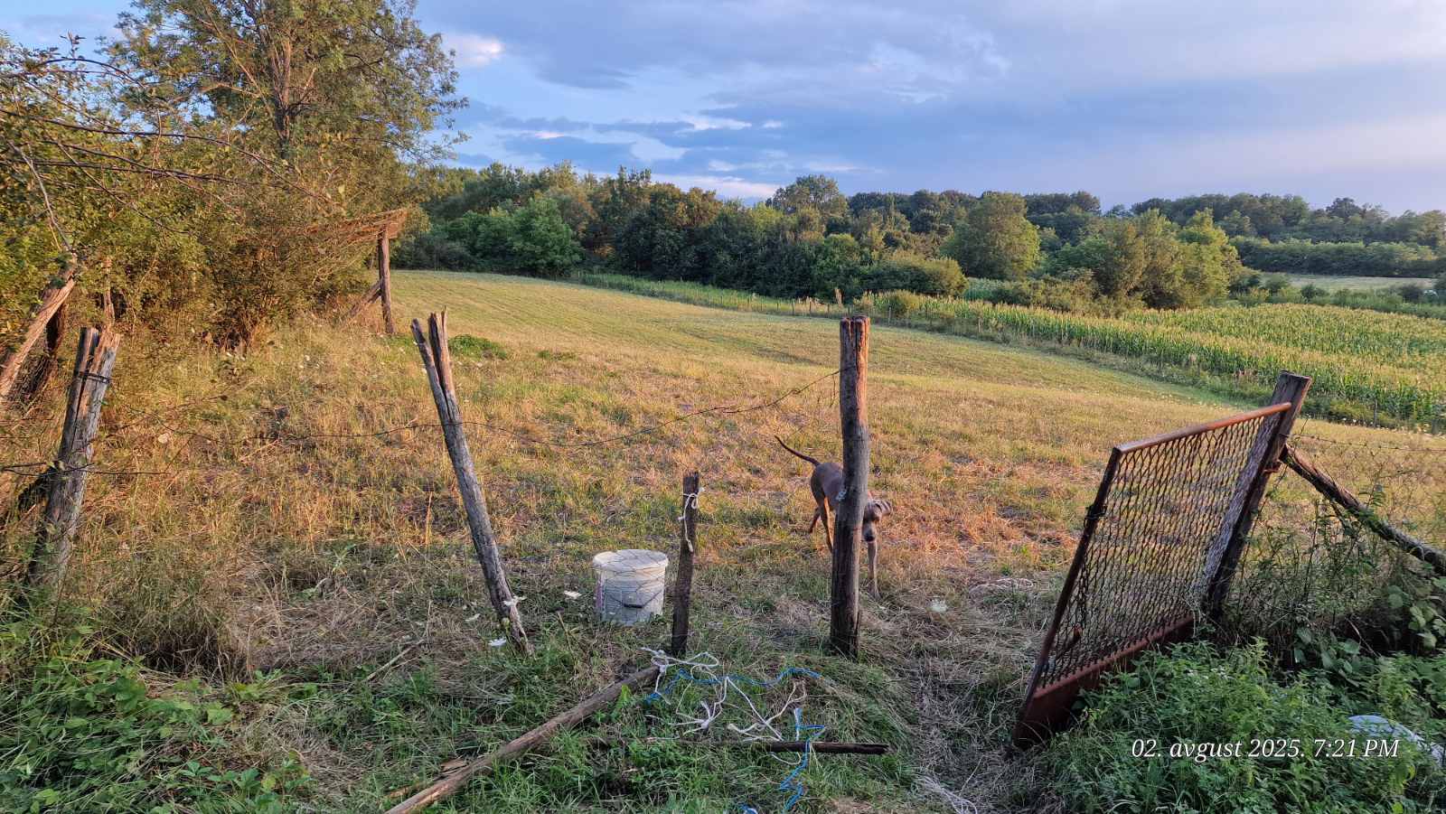 Plac na prodaju Ducina Sopot 3