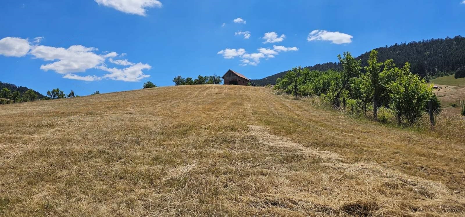 Prodajem plac na Zlatiboru 74ari 3