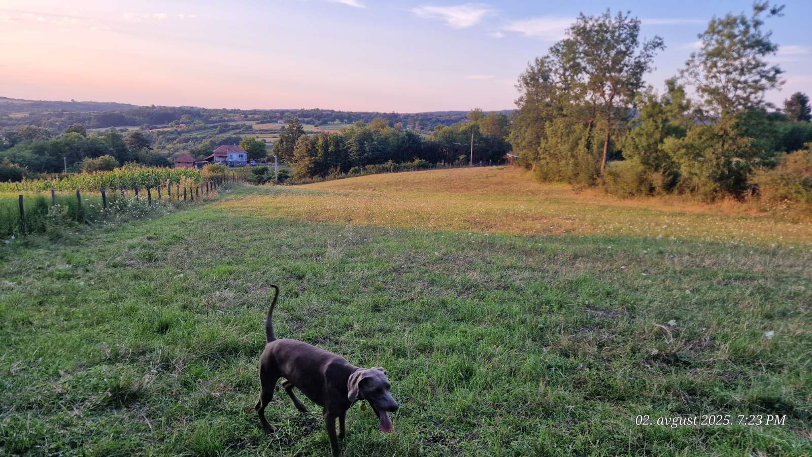 Plac na prodaju Ducina Sopot 4