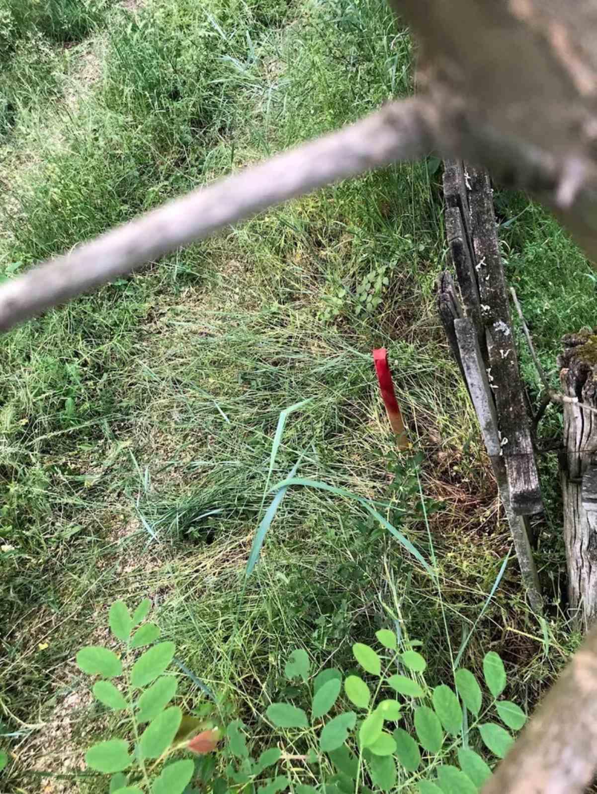 Plac 23ari u gradjevinskoj zoni 1 1 cist ravan 3