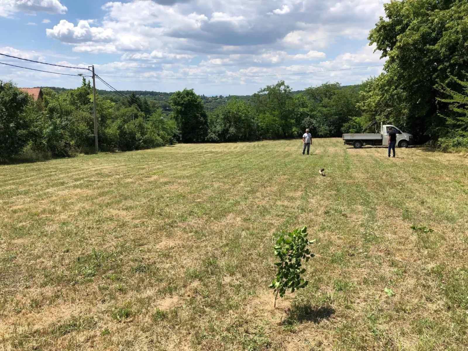 Plac 23ari u gradjevinskoj zoni 1 1 cist ravan 5