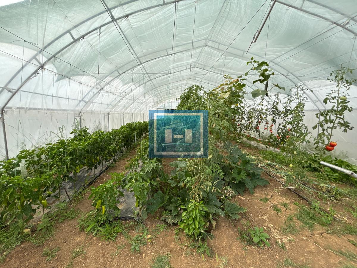 Kuća u Donjem Štiplju 19