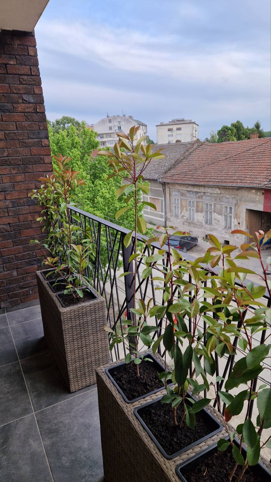 Izdajem stan u Pancevu 5