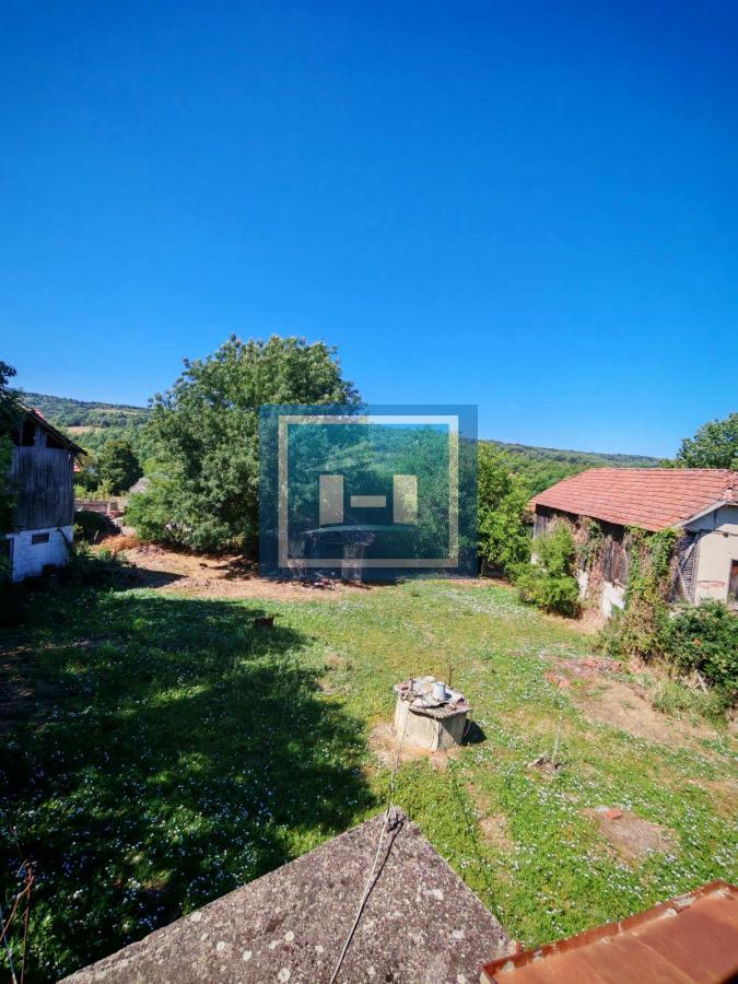 Prodaja kuce u Krivom Viru 5