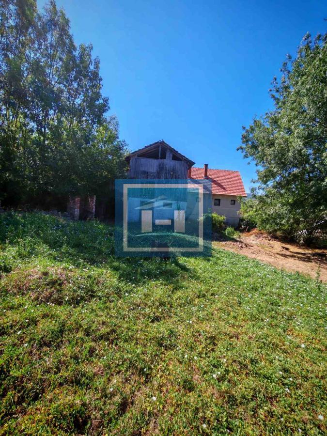 Prodaja kuce u Krivom Viru 7