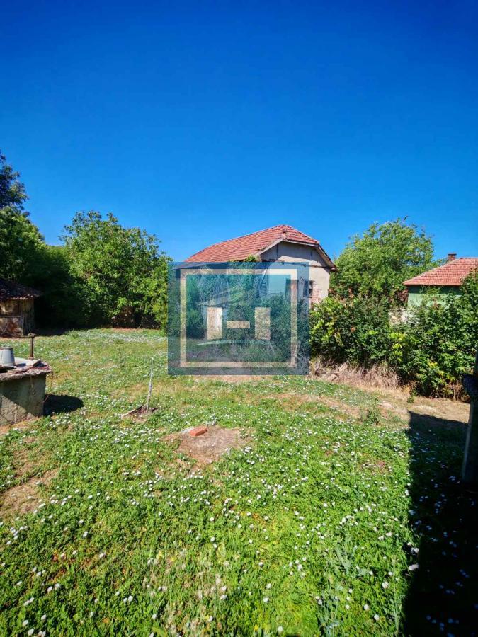 Prodaja kuce u Krivom Viru 8