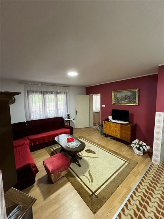 Odlicna kuca za porodicu Aleksandrovac Žabari 2