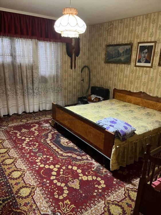 Odlicna kuca za porodicu Aleksandrovac Žabari 4