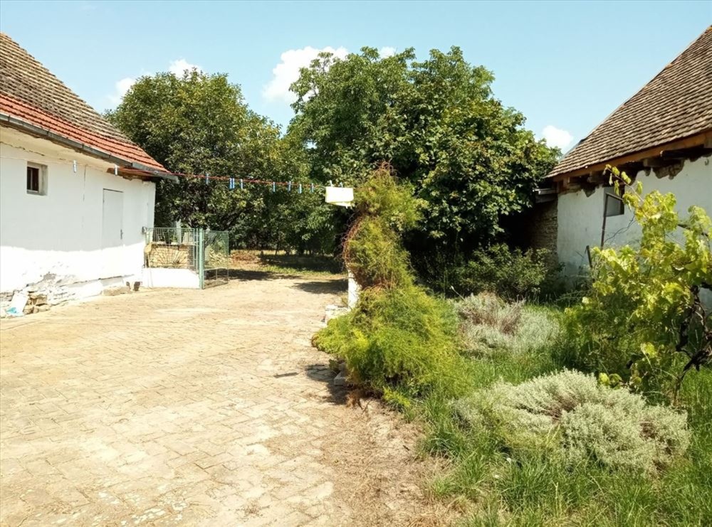 Prodaje se kuca u Ratkovu Odzaci 4