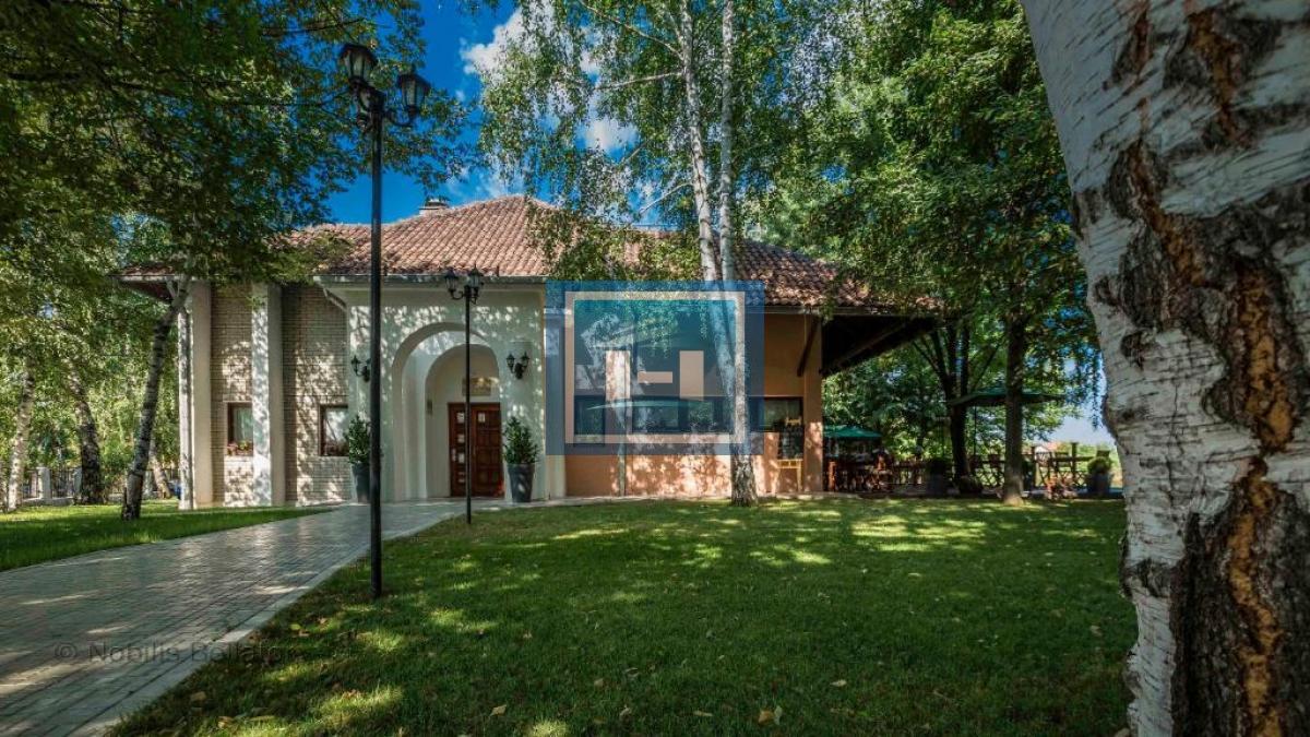 RESTORAN KOJI JE VEĆ BREND! PLAVA LAGUNA TAŽI NOVOG VLASNIKA 4