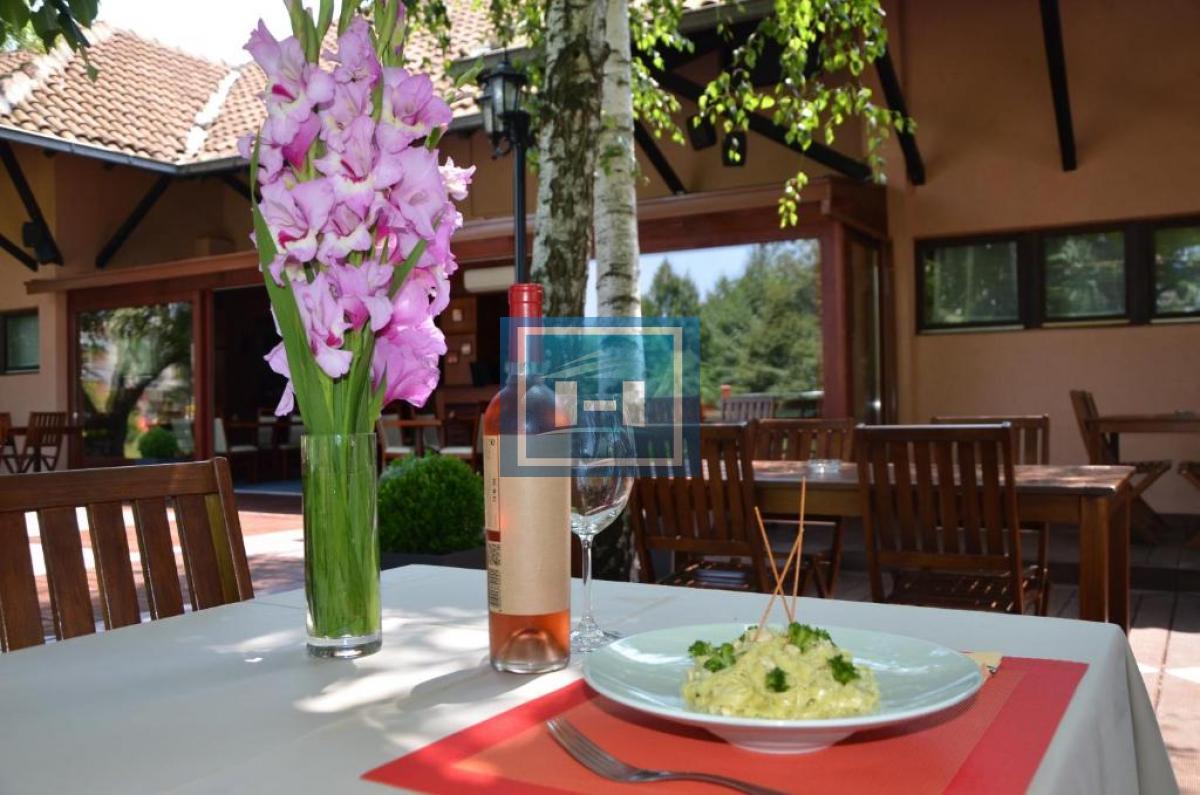 RESTORAN KOJI JE VEĆ BREND! PLAVA LAGUNA TAŽI NOVOG VLASNIKA 6