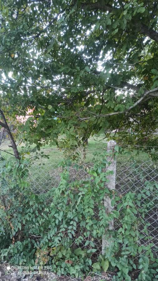 Parcela za izgradnju sa svim priključcima i uknjiženim objektom za adaptaciju u Crvenim livadama 10