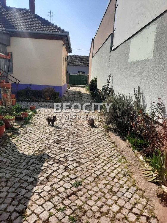 četvorosobna kuća, 200 m2, Telep, Bogdana Šuputa ID: 122240 1