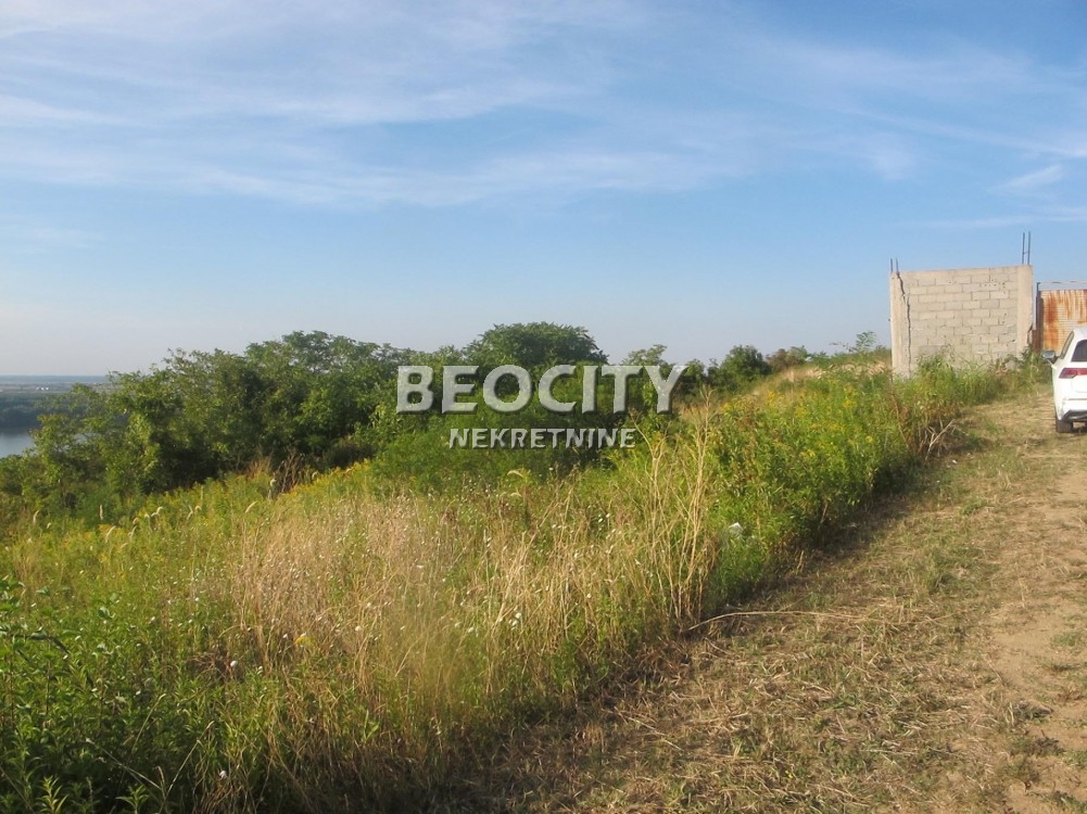 Plac, Palilula ID: 122115 1