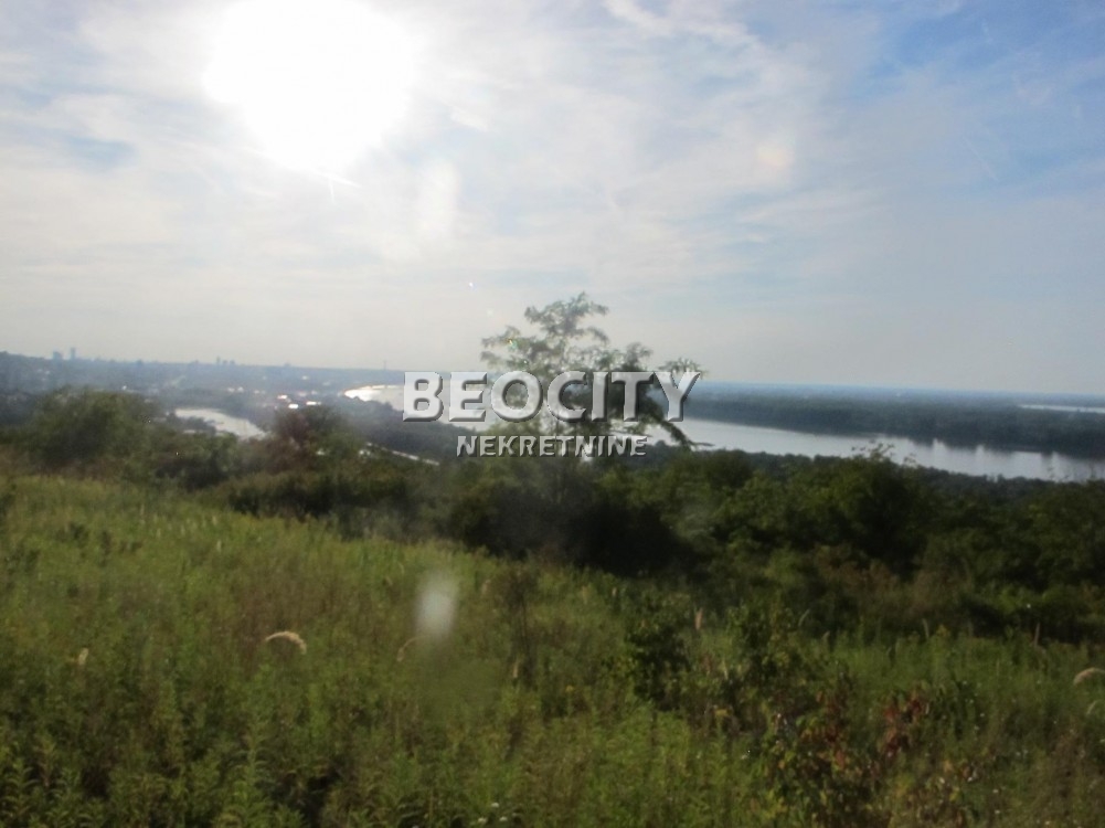 Plac, Palilula ID: 122115 10