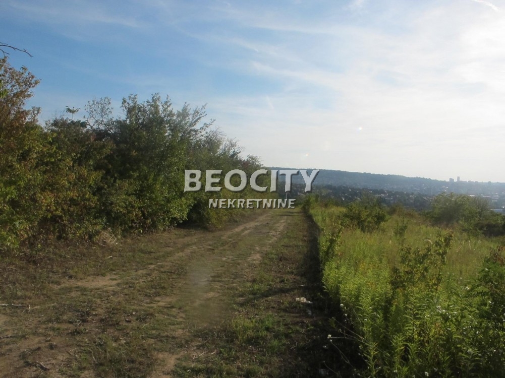 Plac, Palilula ID: 122115 2