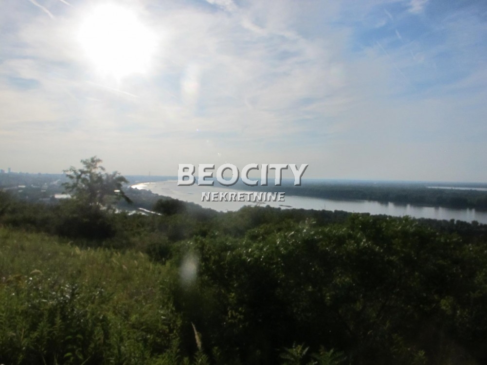 Plac, Palilula ID: 122115 4