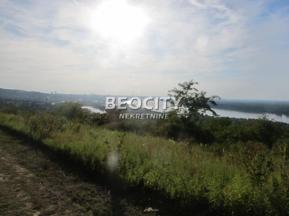 Plac, Palilula ID: 122115 5