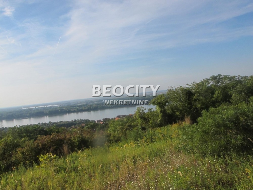 Plac, Palilula ID: 122115 6