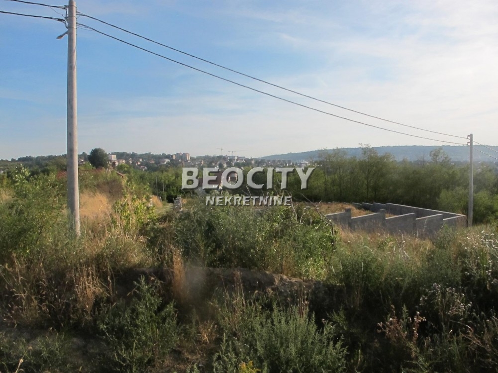 Plac, Palilula ID: 122115 7