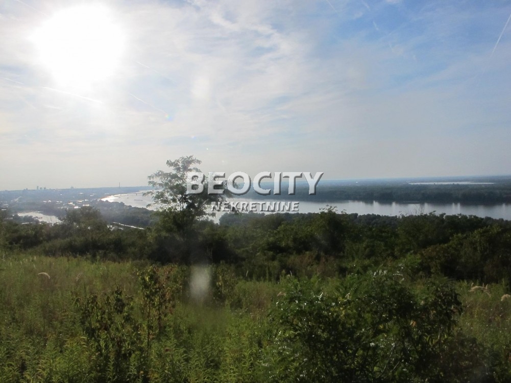 Plac, Palilula ID: 122115 8