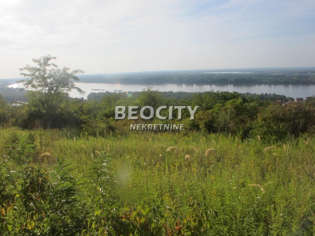 Plac, Palilula ID: 122115 9