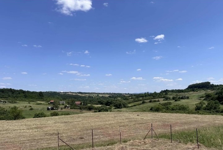 Meljak 116ari parcelisano 3