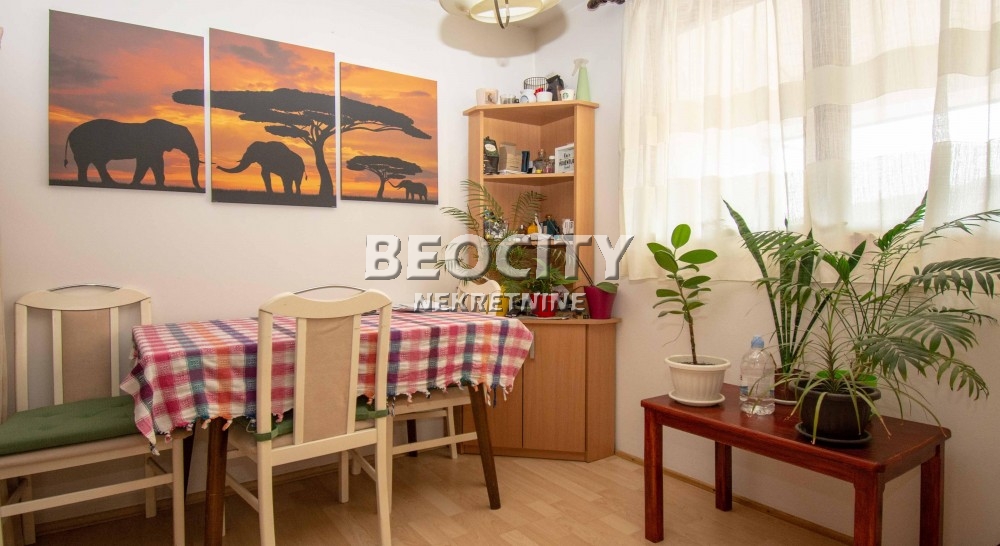 Trosoban stan, 60 m2, Palilula, Patrisa Lumumbe ID: 122180 5