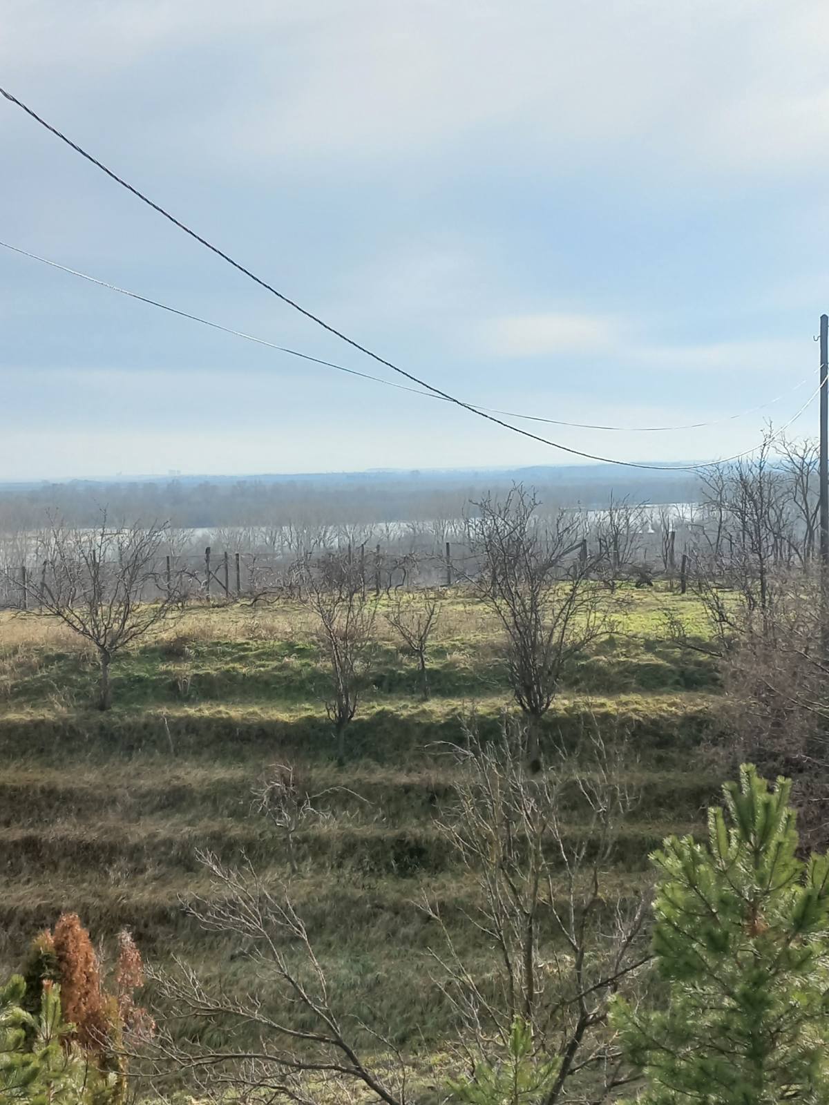 Plac sa pogledom na Dunav Belegis 1