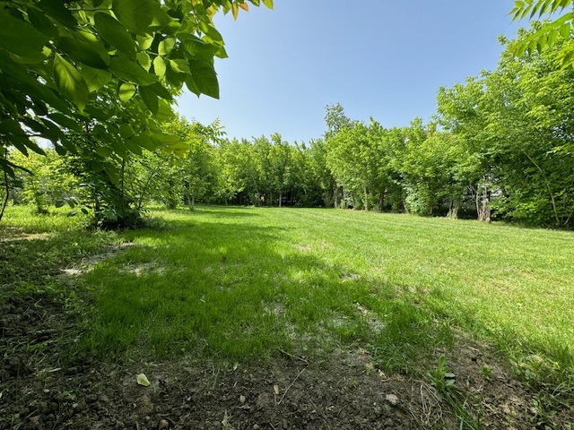 Prodajem kucu u Novoj Pazovi 2