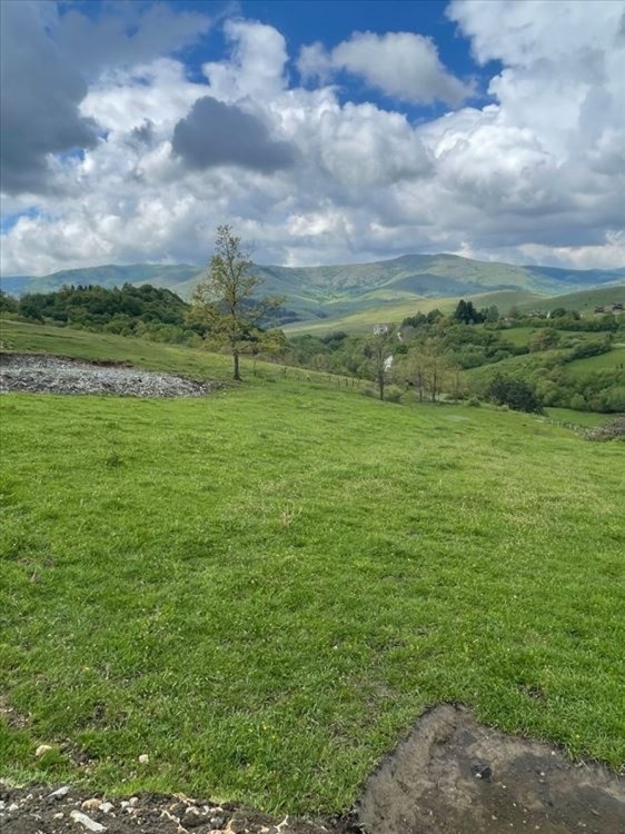 Prodajem plac na Zlatiboru 4