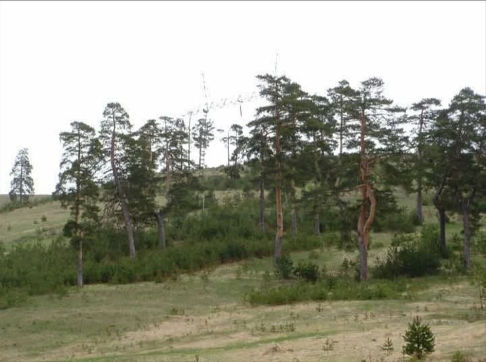 Zlatiborski Dukat zemljiste investicija Čigota 1