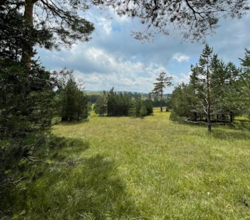 Zlatiborski Dukat zemljiste investicija Čigota 2