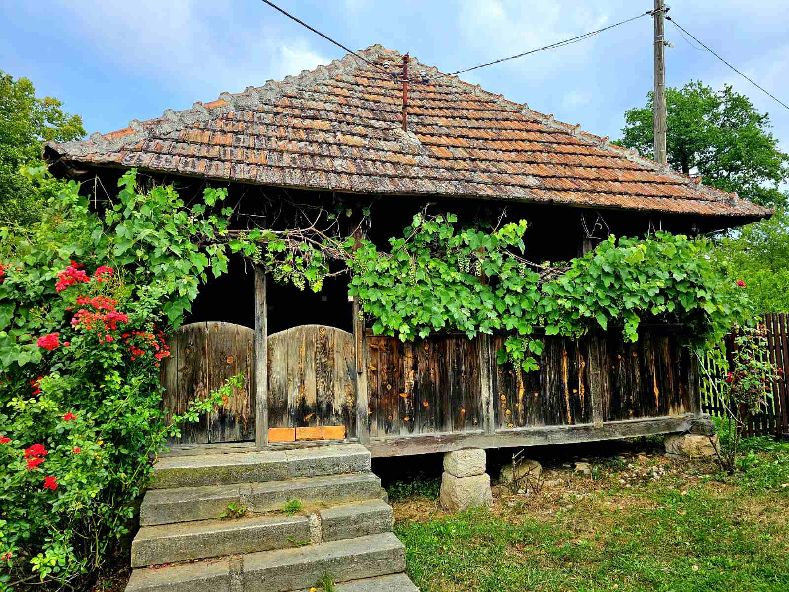 Prodajem imanje 8 6ha sa kucom Kosjeric 3