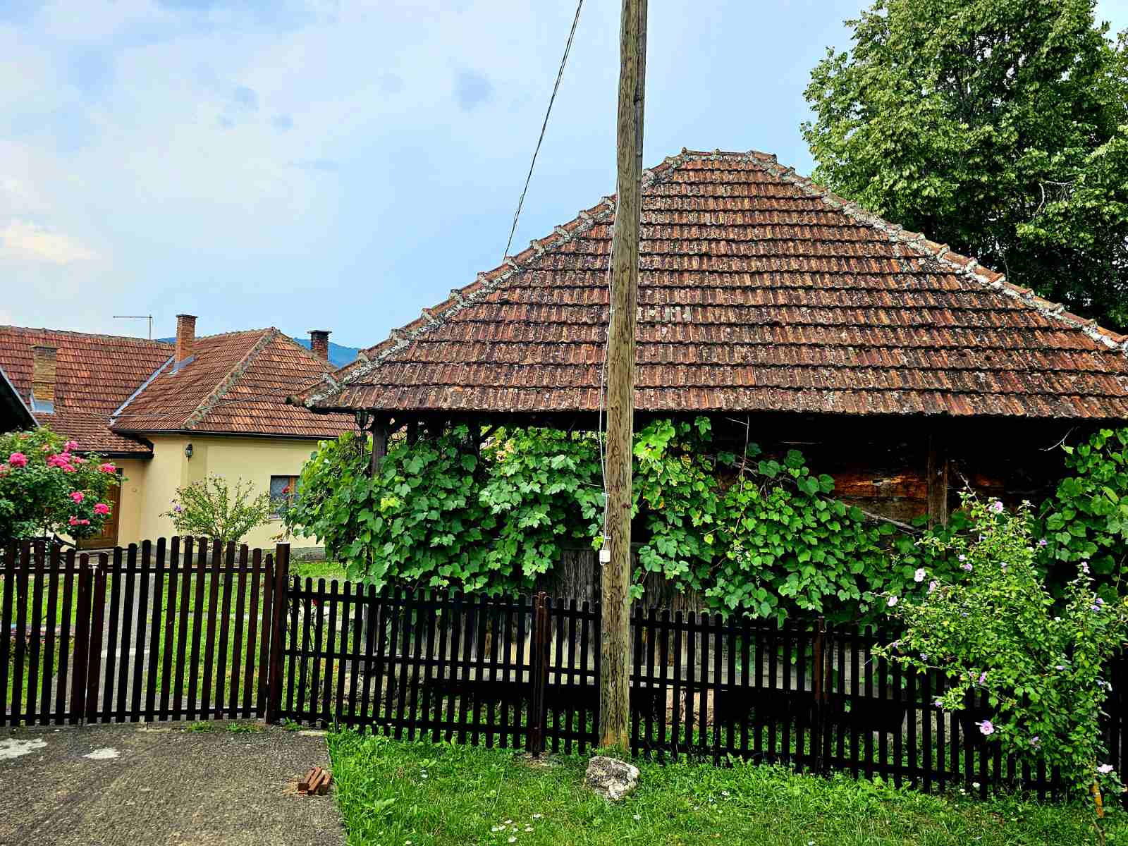 Prodajem imanje 8 6ha sa kucom Kosjeric 4