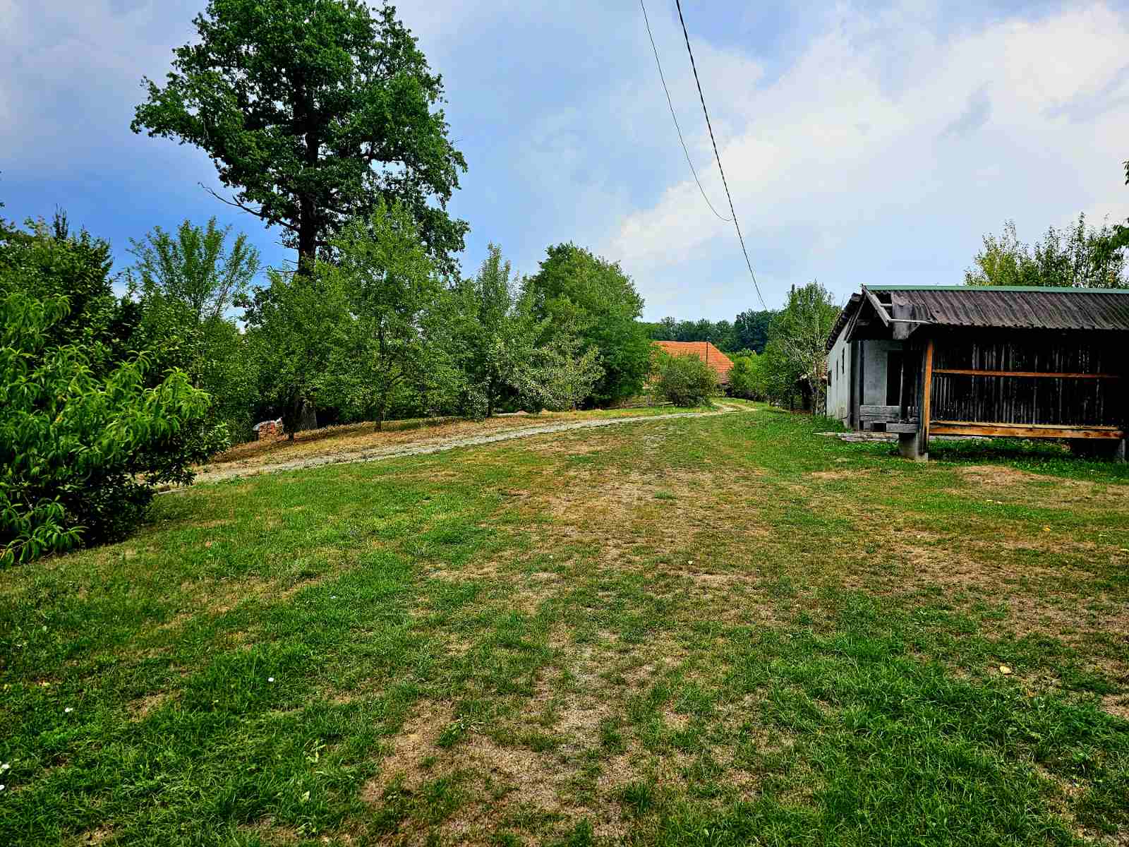 Prodajem imanje 8 6ha sa kucom Kosjeric 5