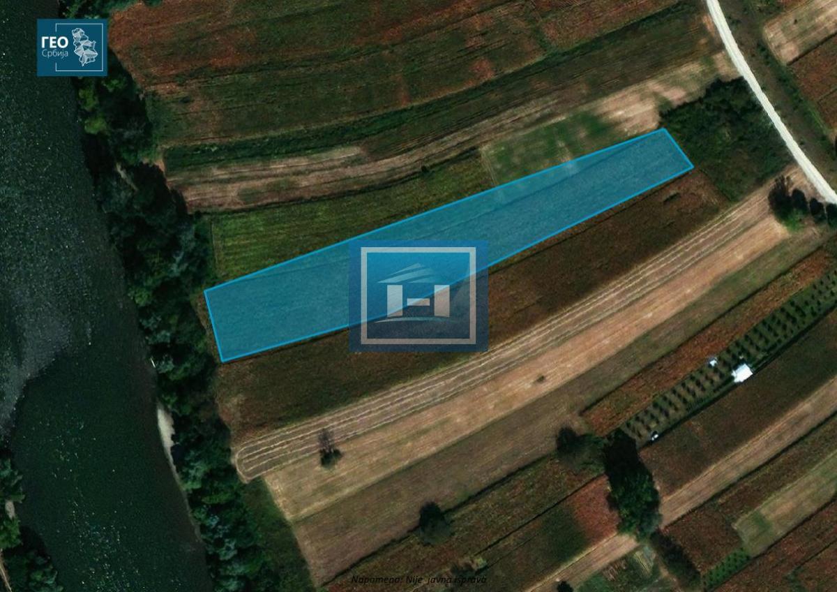Poljoprivredno zemljište na obali Velike Morave 1