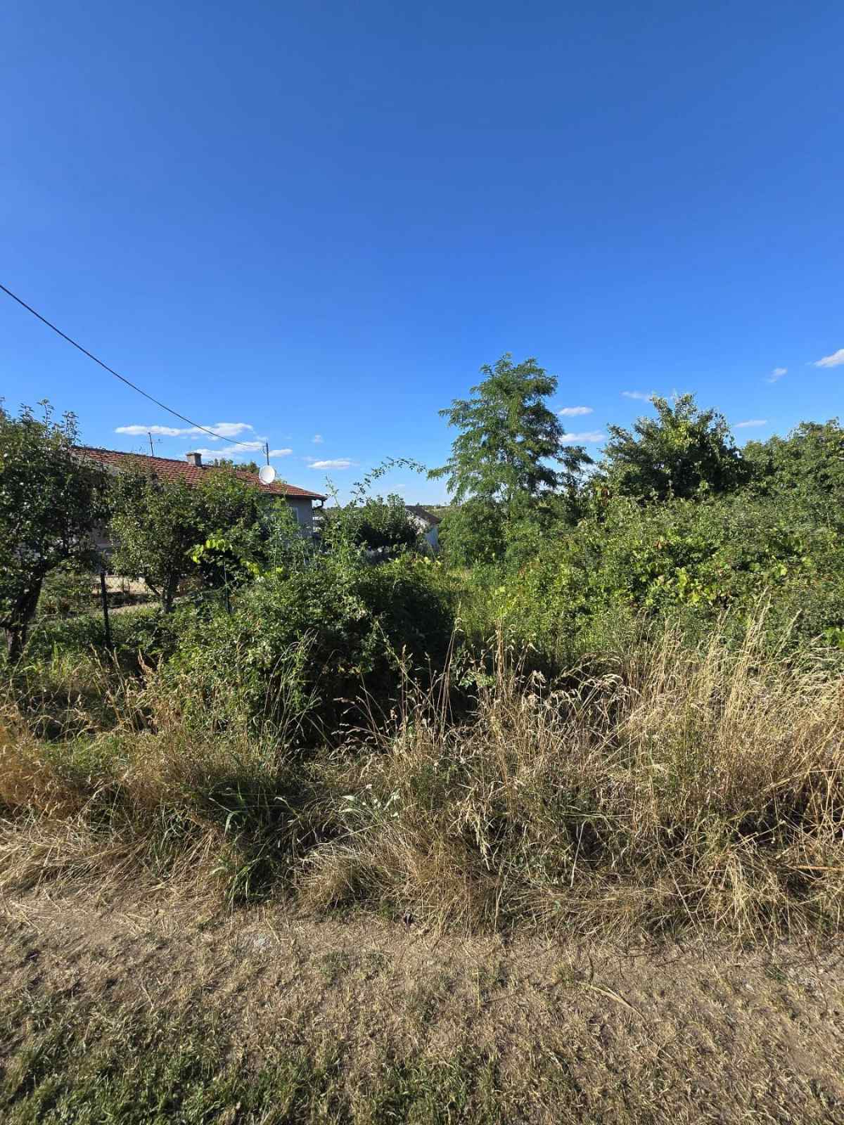 Plac od 61ari u Belom Bregu Indjija 1