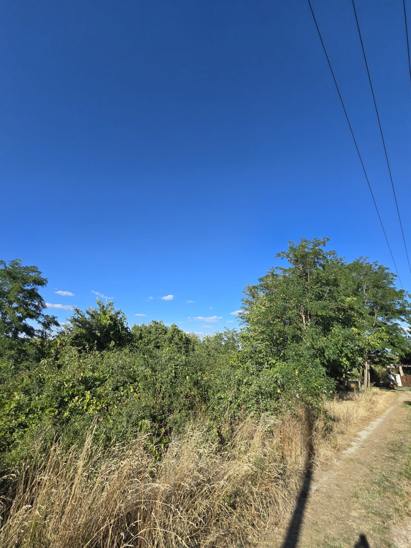 Plac od 61ari u Belom Bregu Indjija 2